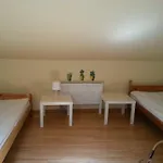 Apart & Hostel Guest Room Brendan